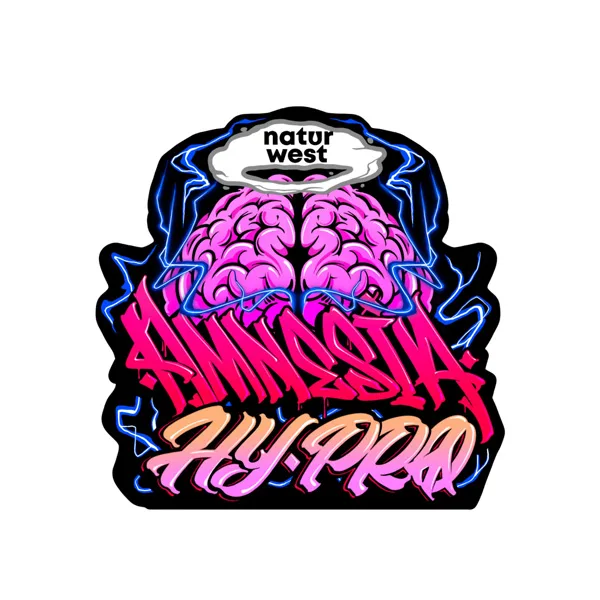 Flor CBD Naturwest Indoor Amnesia Hy Pro